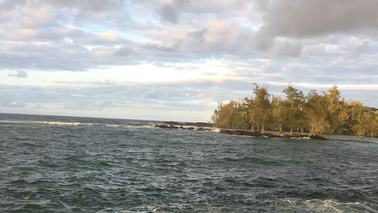 Photo of Others in Hilo