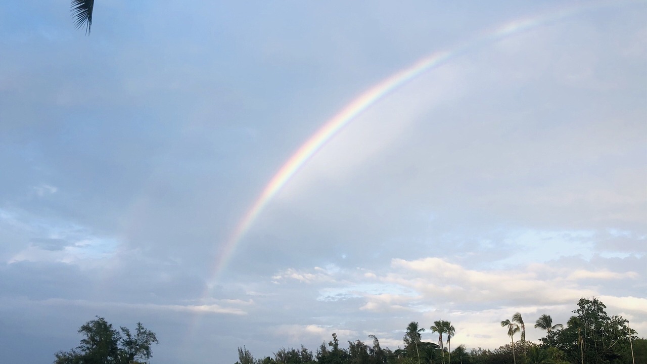 Photo of Others in Hilo