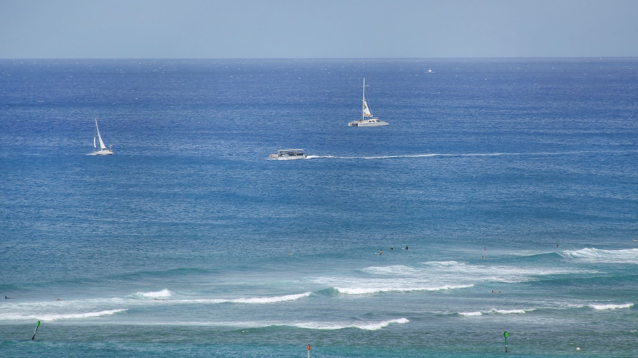 Photo of Others in Waikiki
