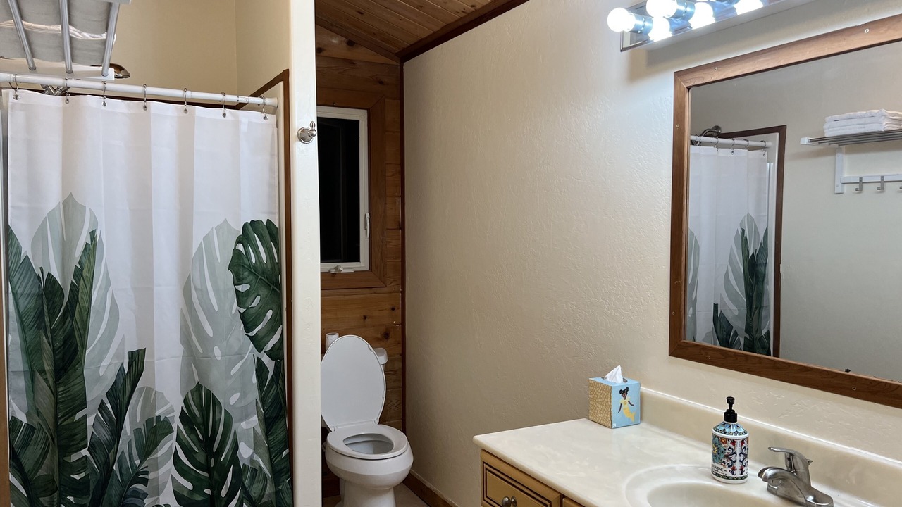 Photo of Bathroom in Keaau