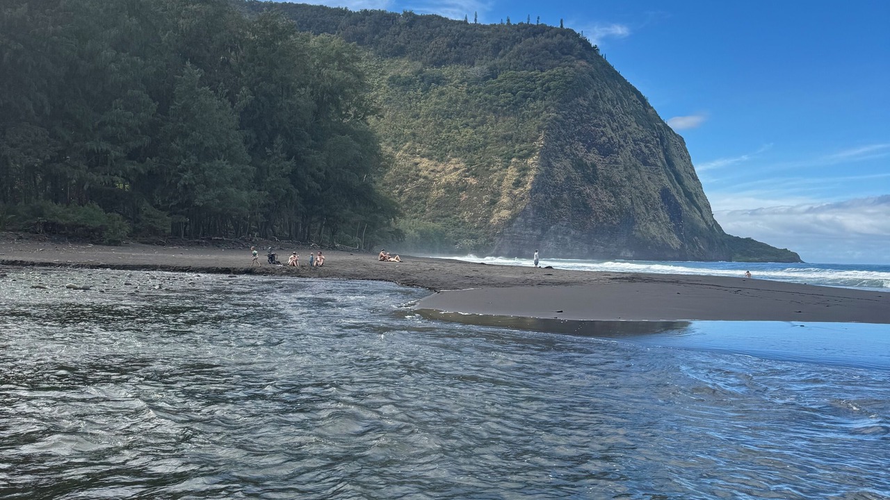 Photo of Others in Leilani Estates