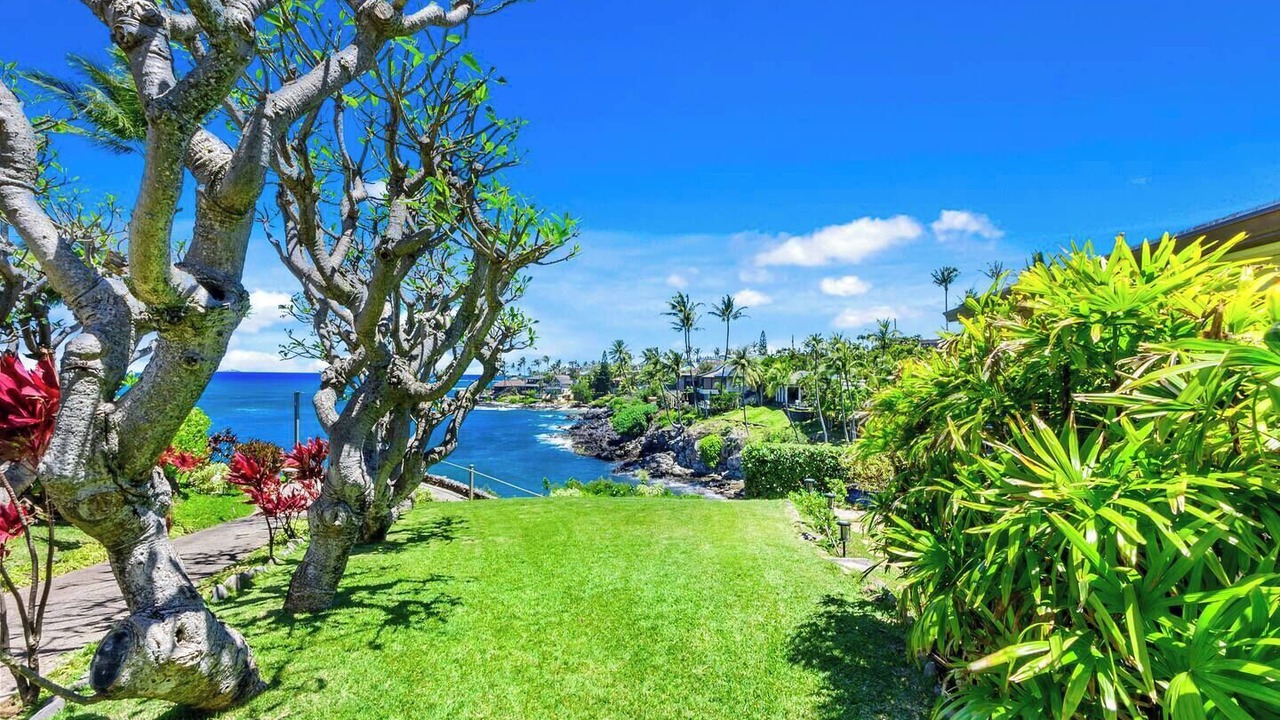 Photo of Others in Napili