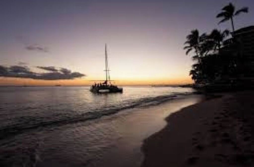 Photo of Others in Waikiki