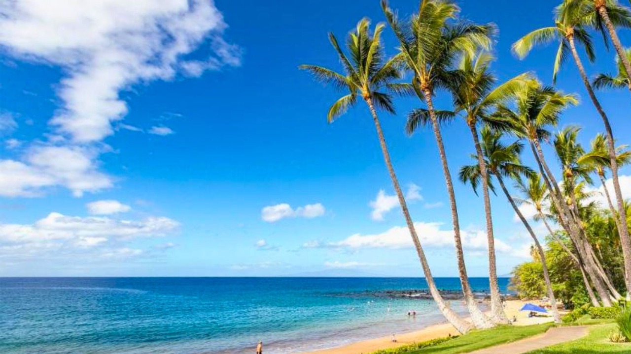 Photo of Others in Wailea