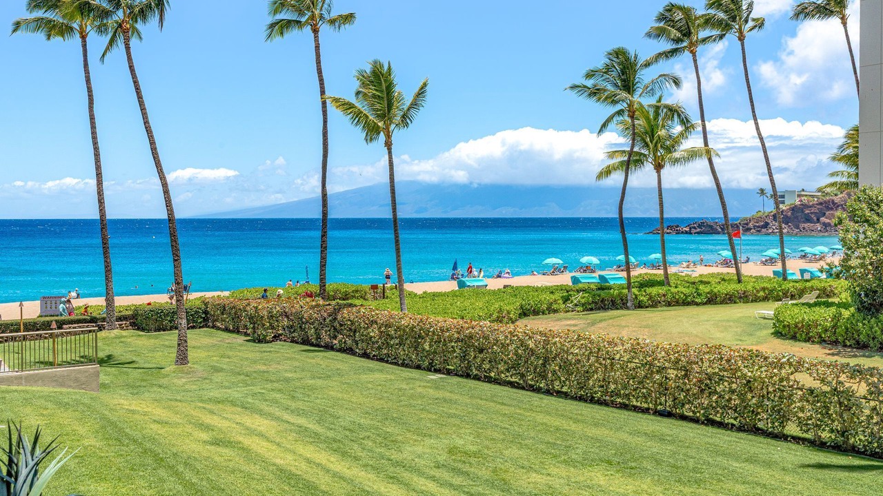 Photo of Others in Kaanapali