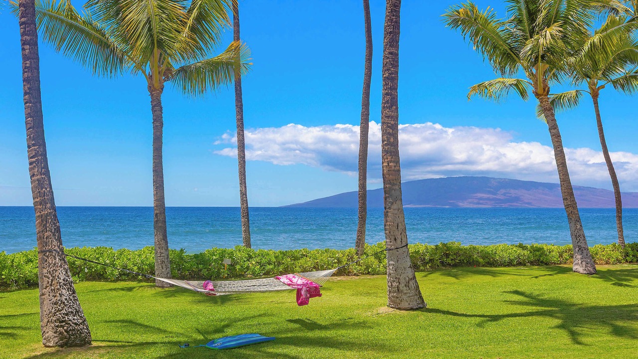 Photo of Outdoor in Downtown Lahaina