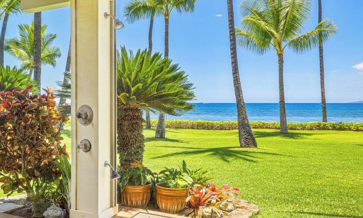 Photo of Others in Downtown Lahaina
