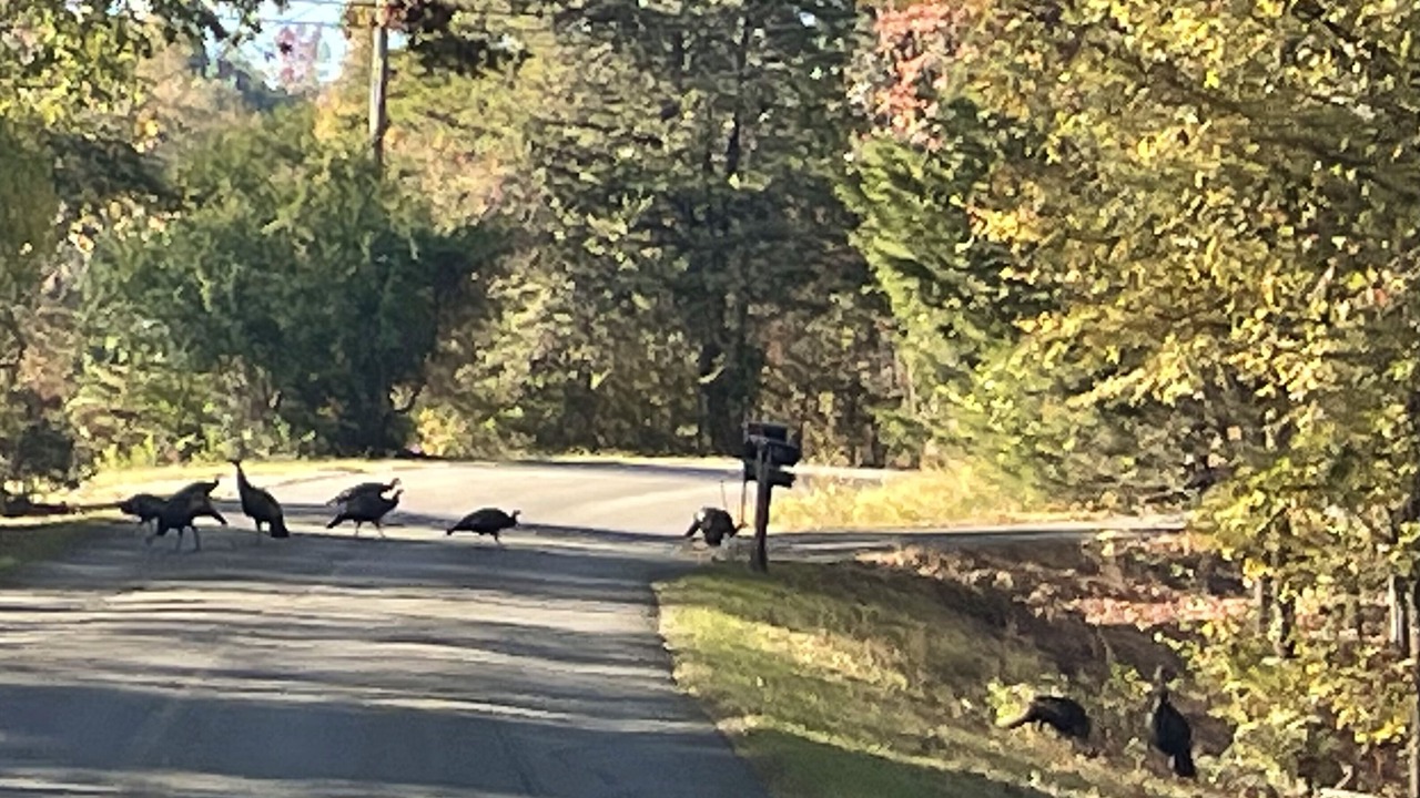 Photo of Others in Maryville