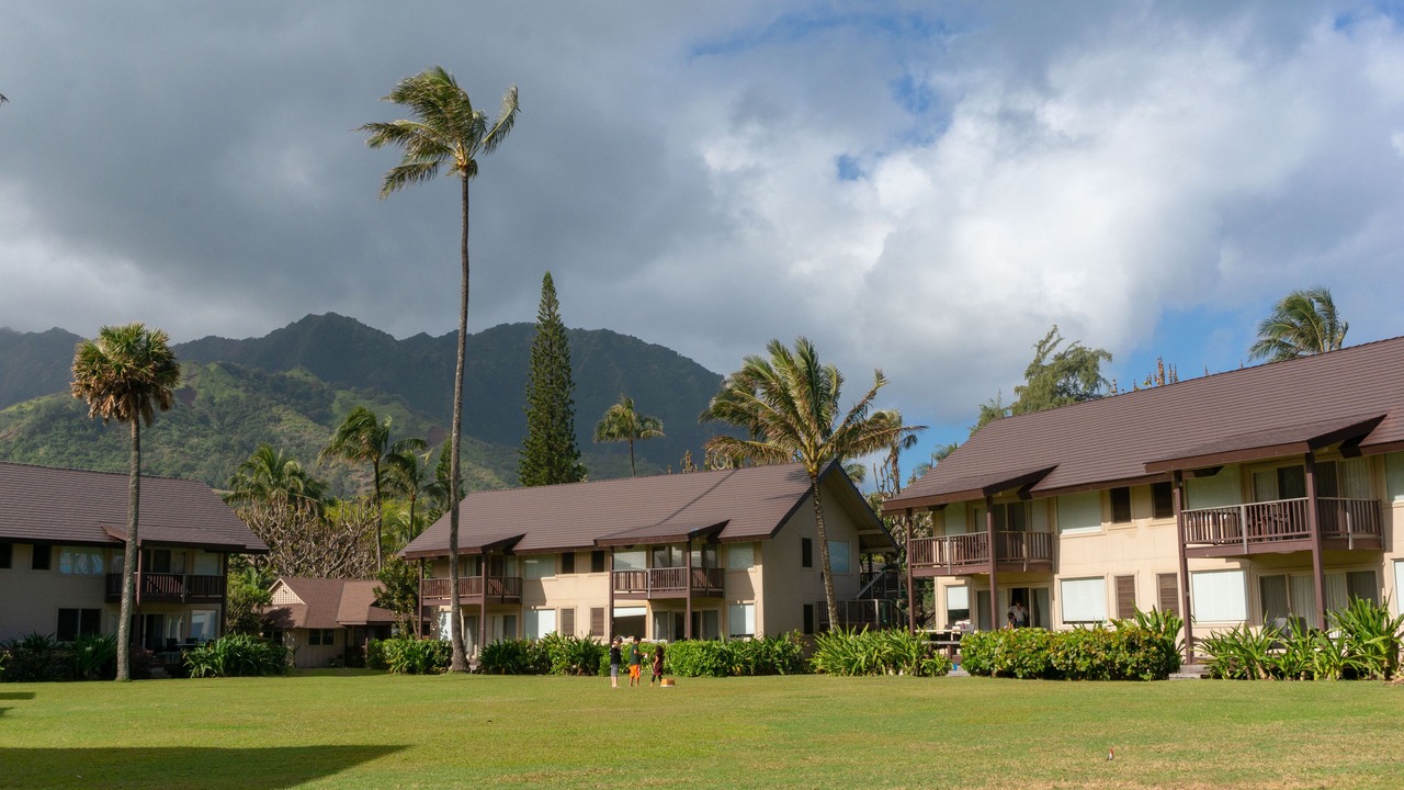 Photo of Others in Wainiha