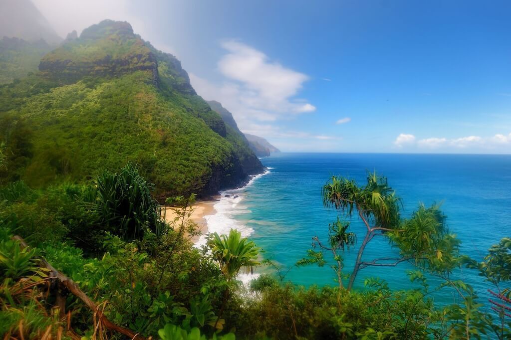 Photo of Others in Princeville