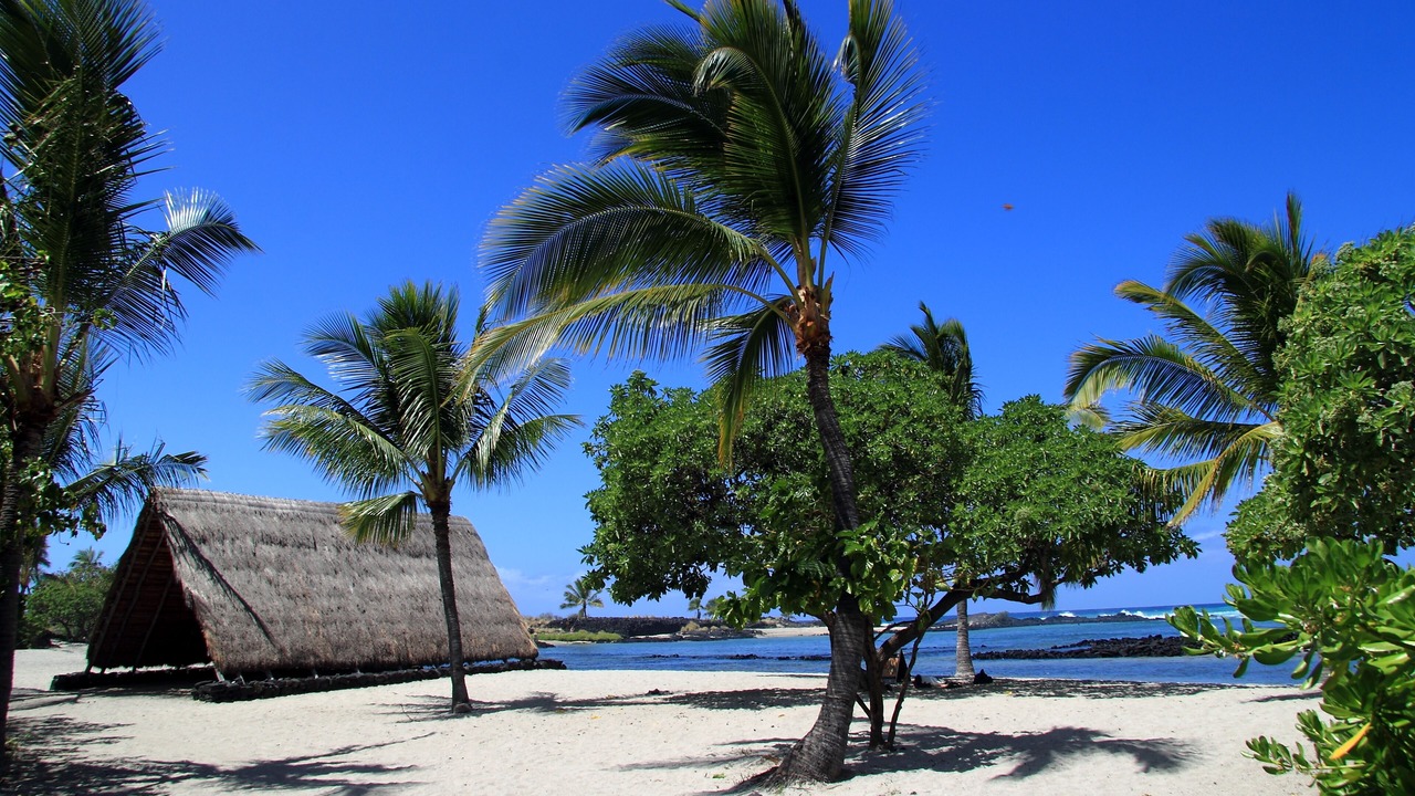 Photo of Others in Keauhou