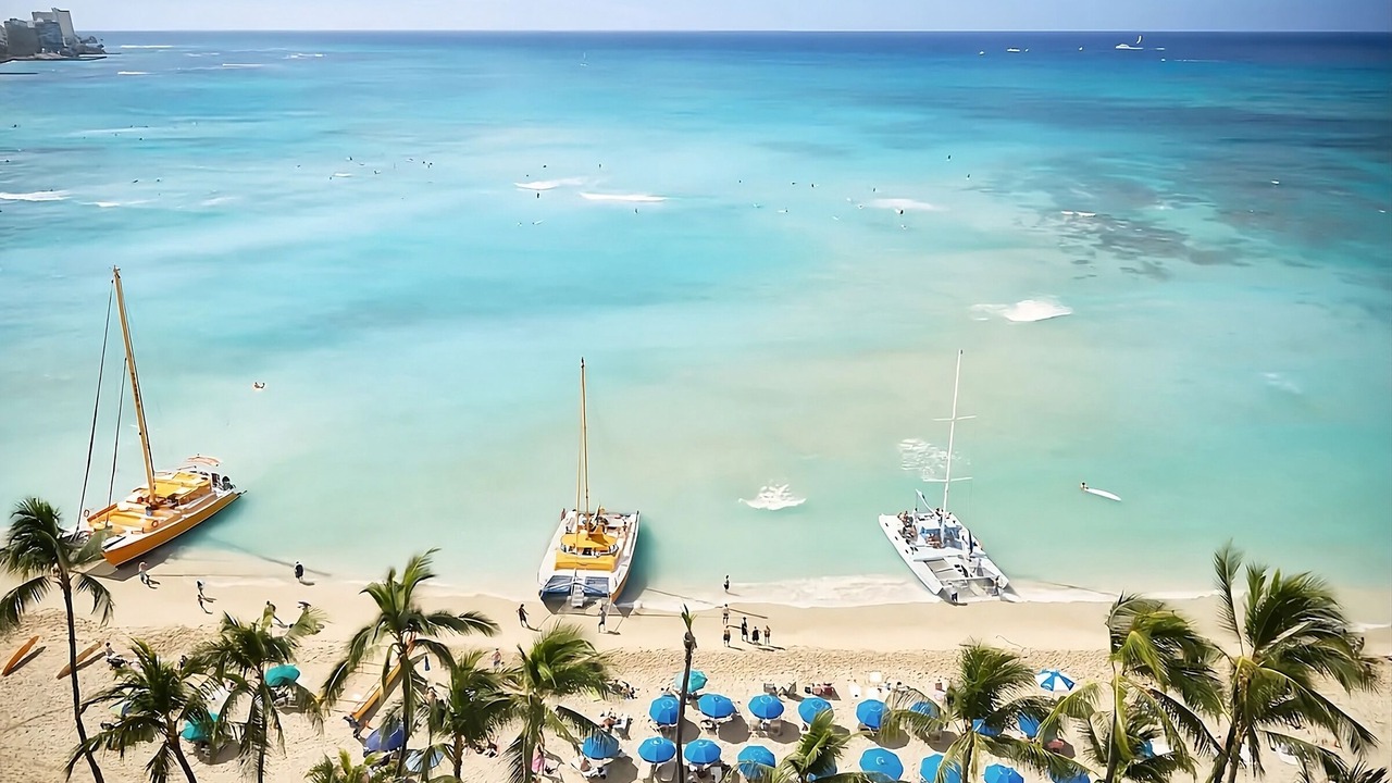 Photo of Others in Waikiki