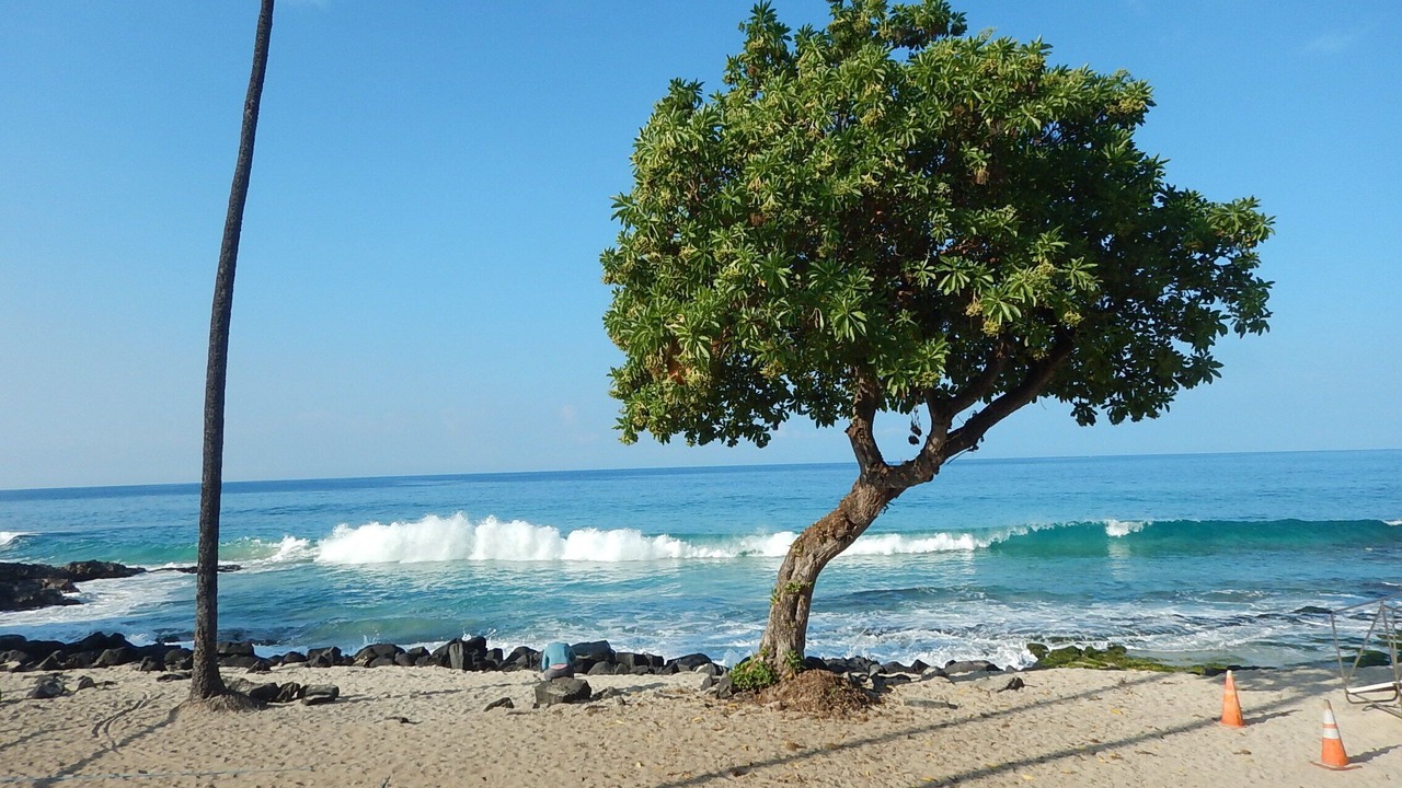 Photo of Others in Keauhou