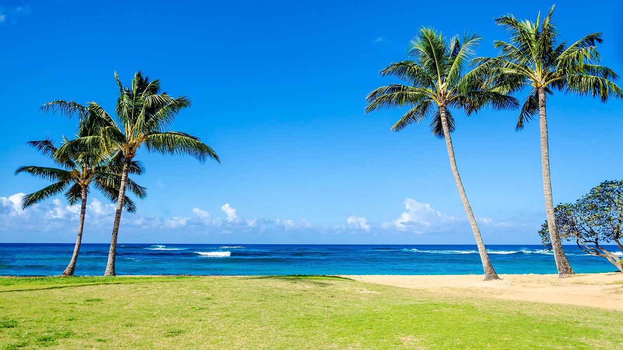 Photo of Others in Poipu