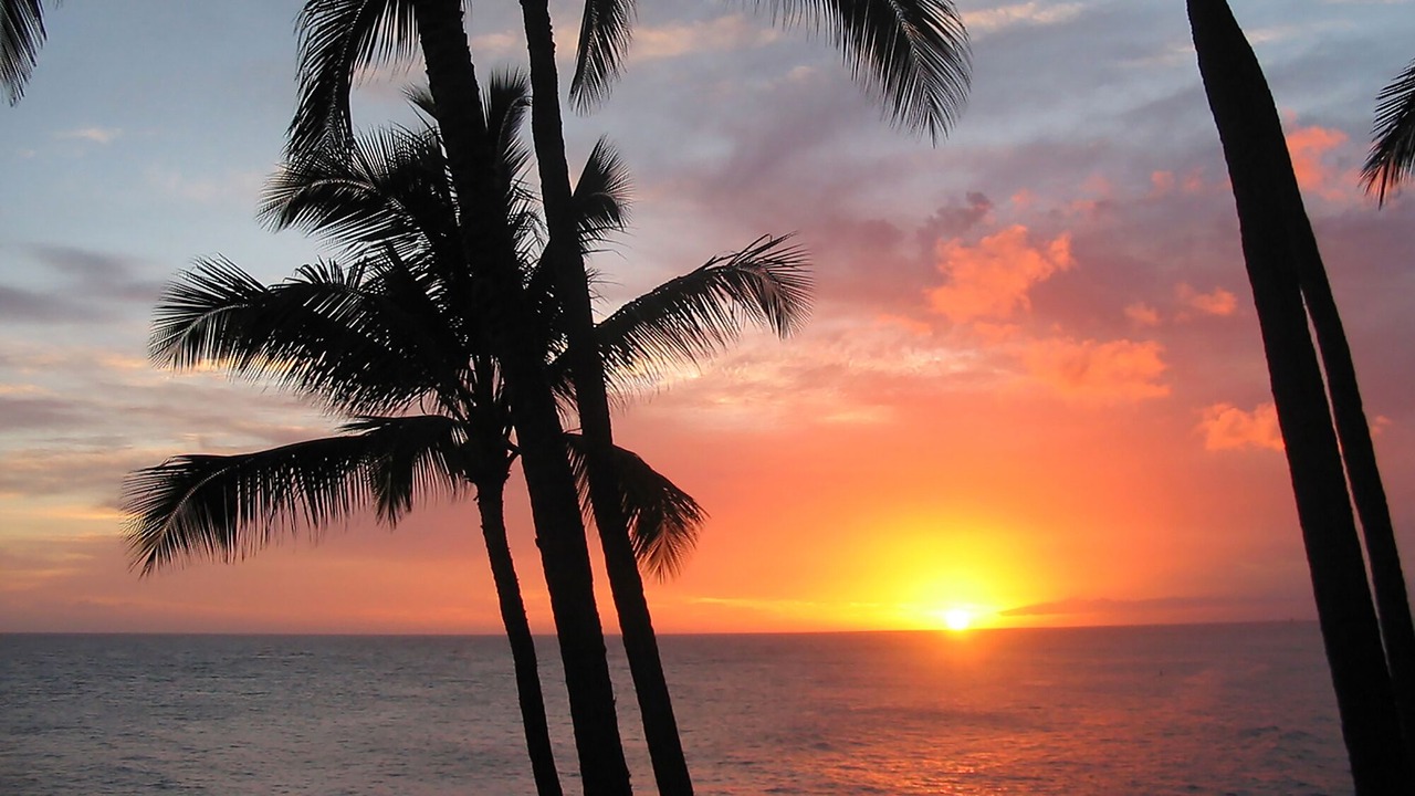 Photo of Others in Poipu
