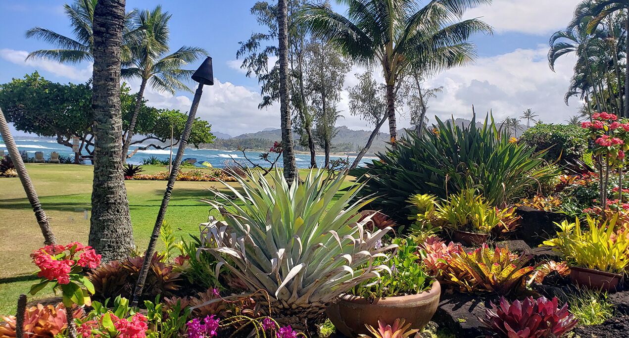 Photo of Others in Wailua