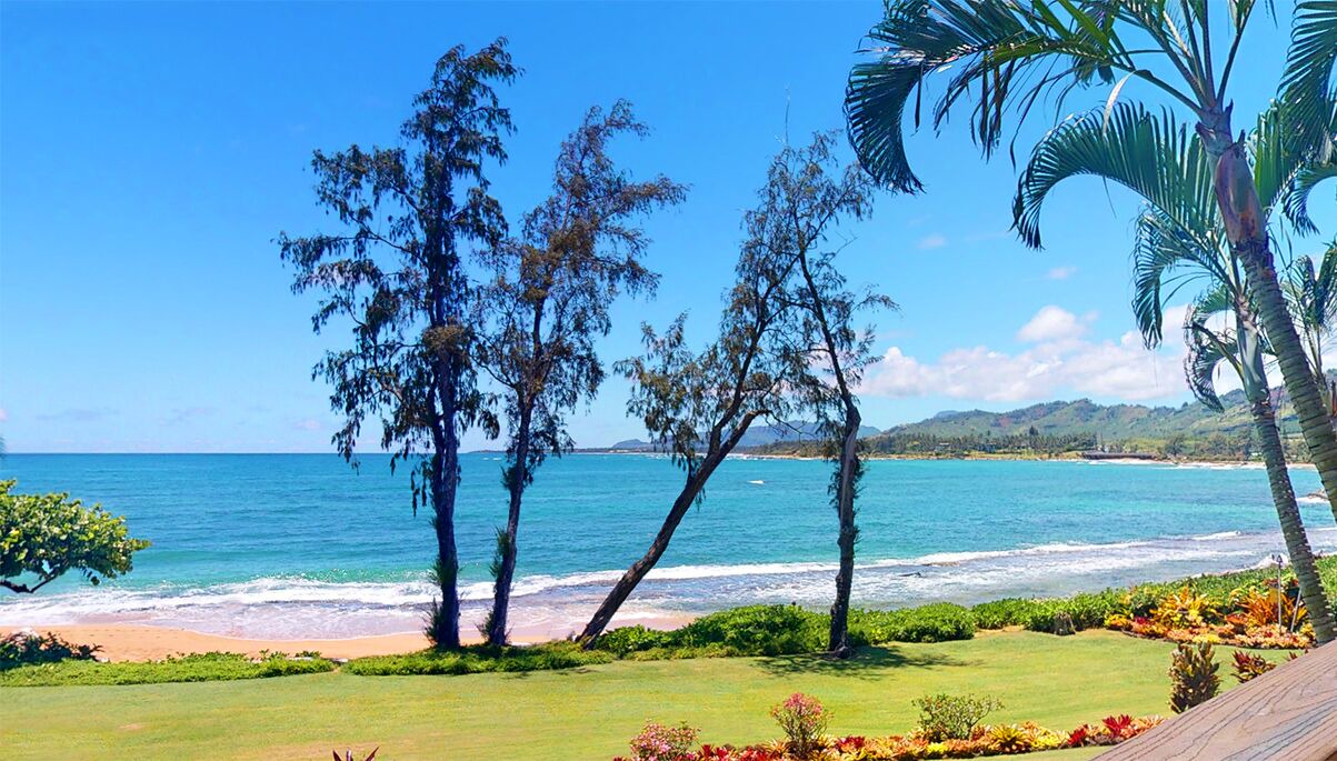 Photo of Others in Wailua