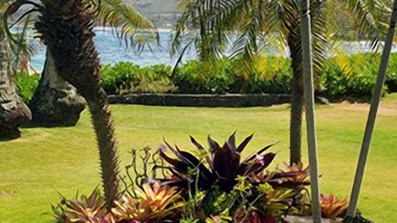Photo of Others in Wailua