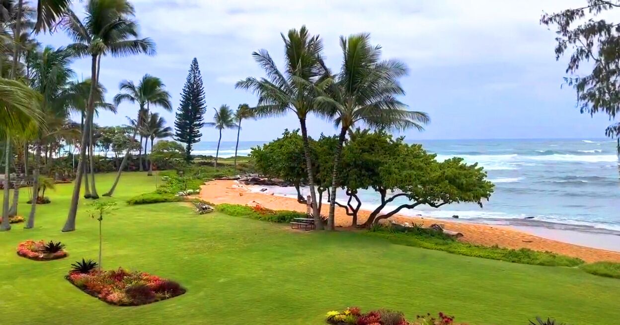 Photo of Others in Wailua