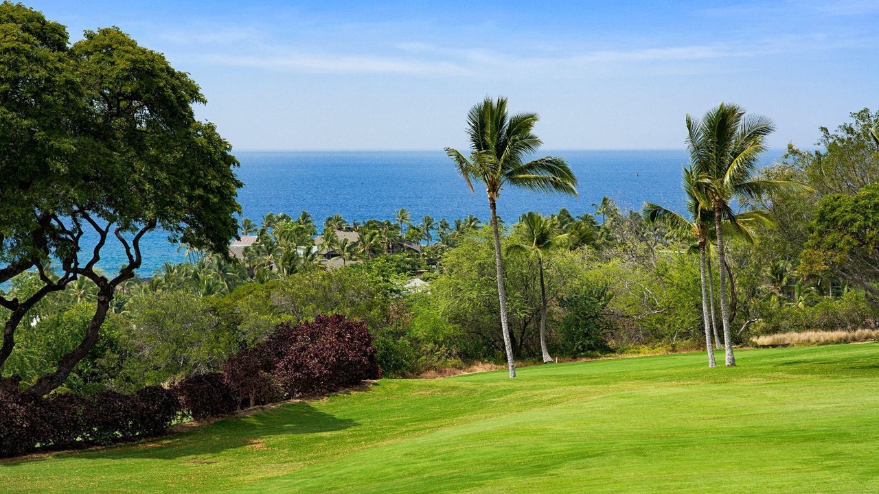Photo of Others in Keauhou