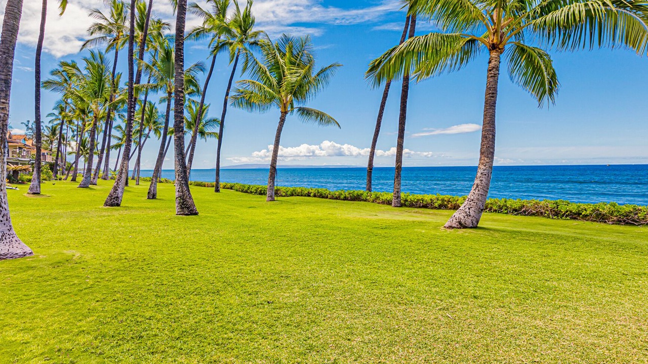 Photo of Outdoor in Historic Lahaina Front Street