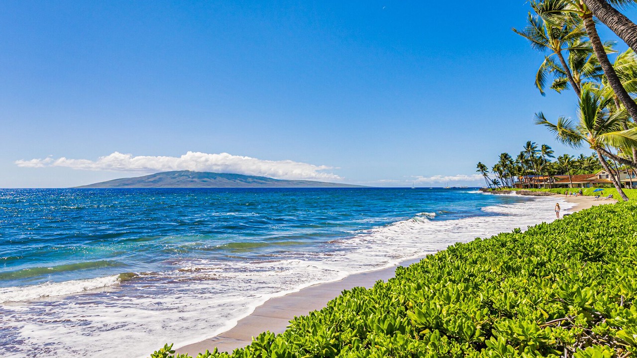 Photo of Others in Historic Lahaina Front Street