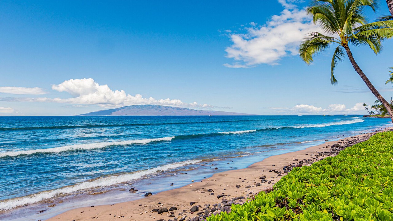 Photo of Others in Historic Lahaina Front Street