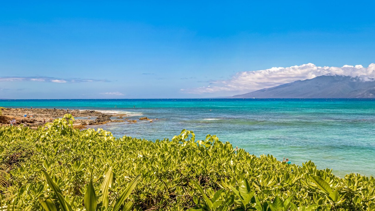 Photo of Others in Napili