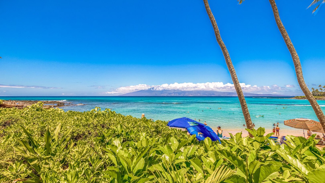 Photo of Others in Napili