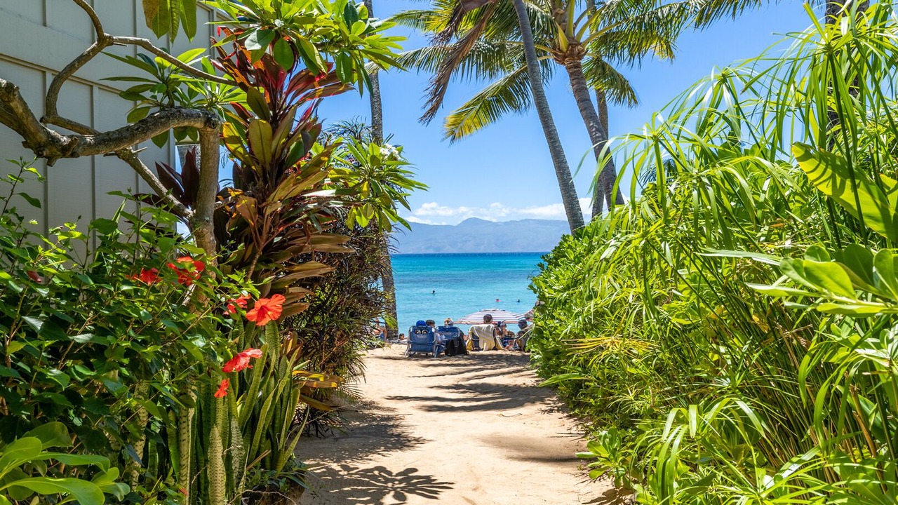 Photo of Others in Napili