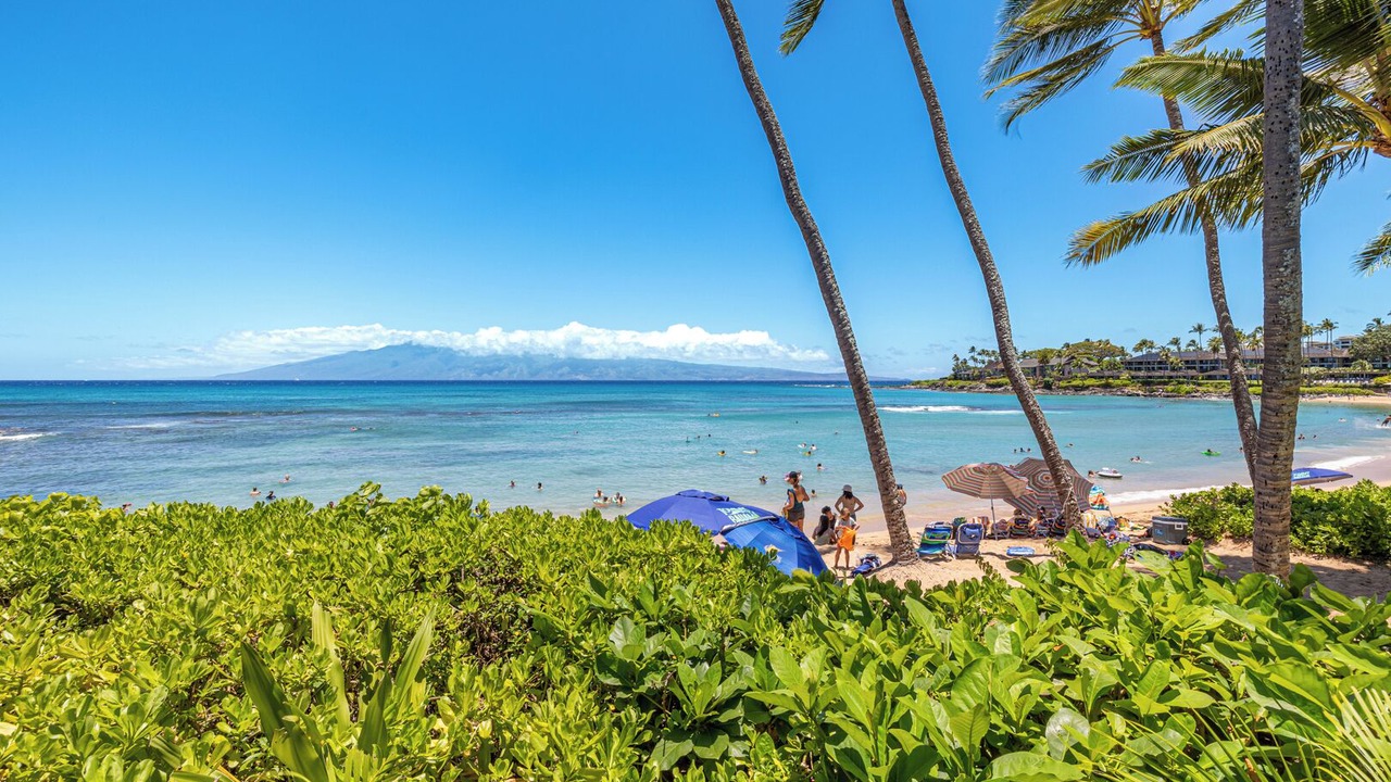 Photo of Others in Napili