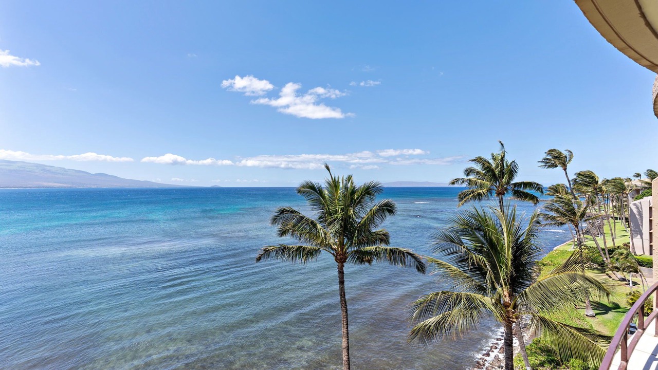 Photo of Others in Maalaea