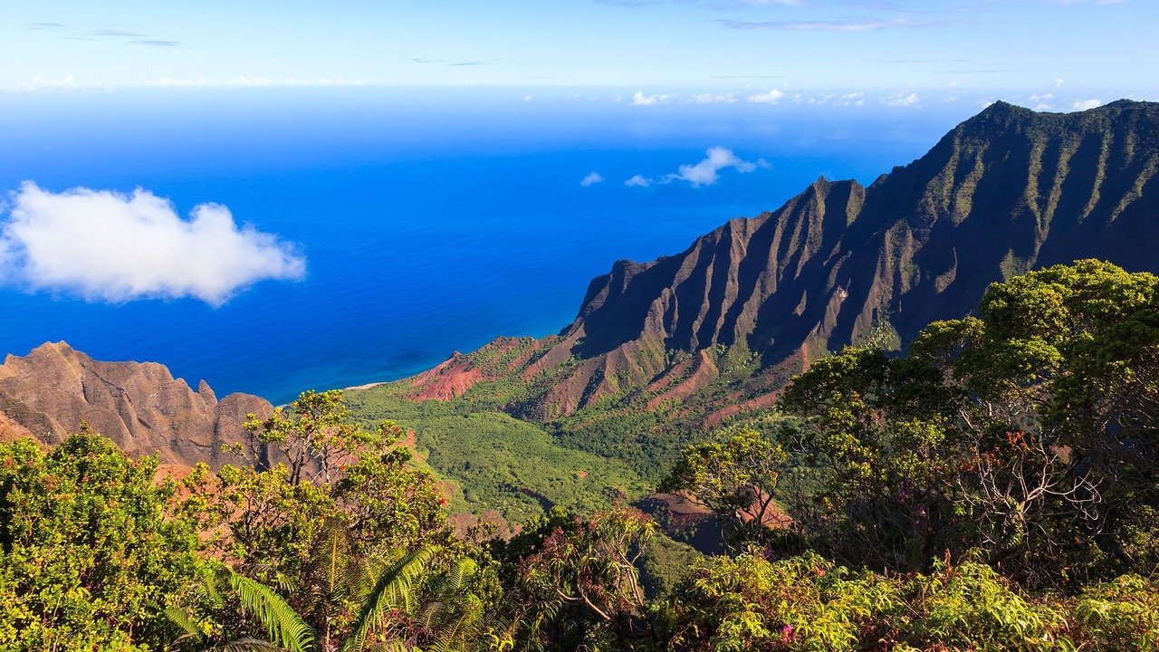 Photo of Others in Lihue