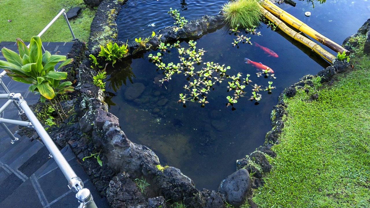 Photo of Others in Hana
