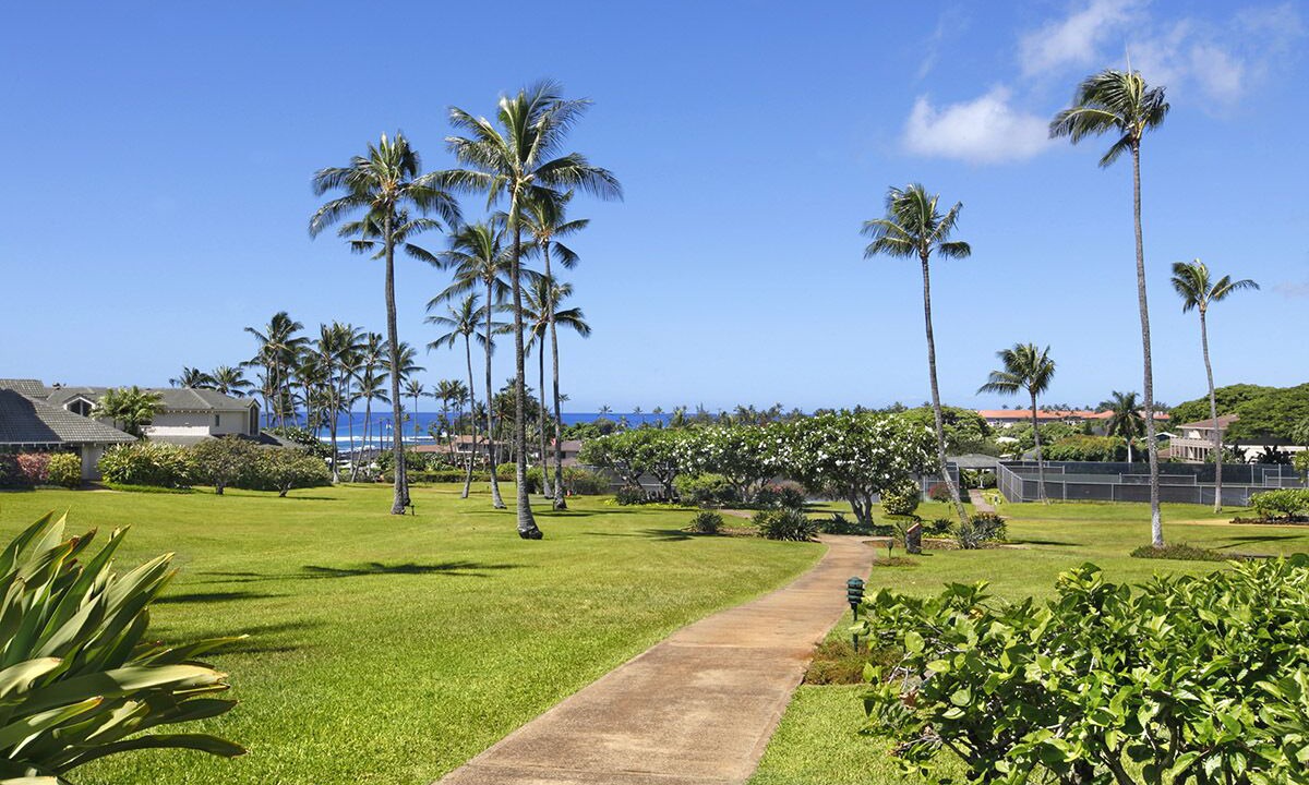 Photo of Outdoor in Poipu