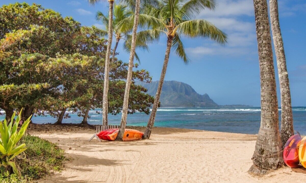 Photo of Others in Princeville