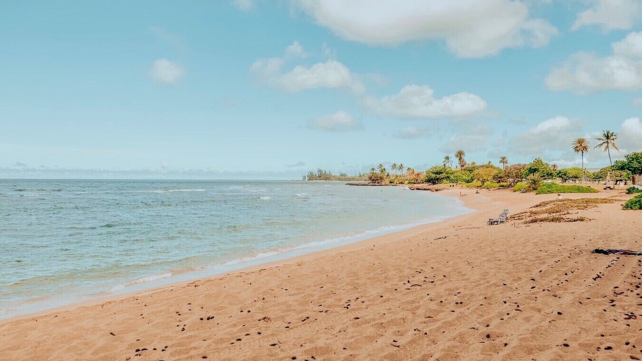 Photo of Others in Waialee