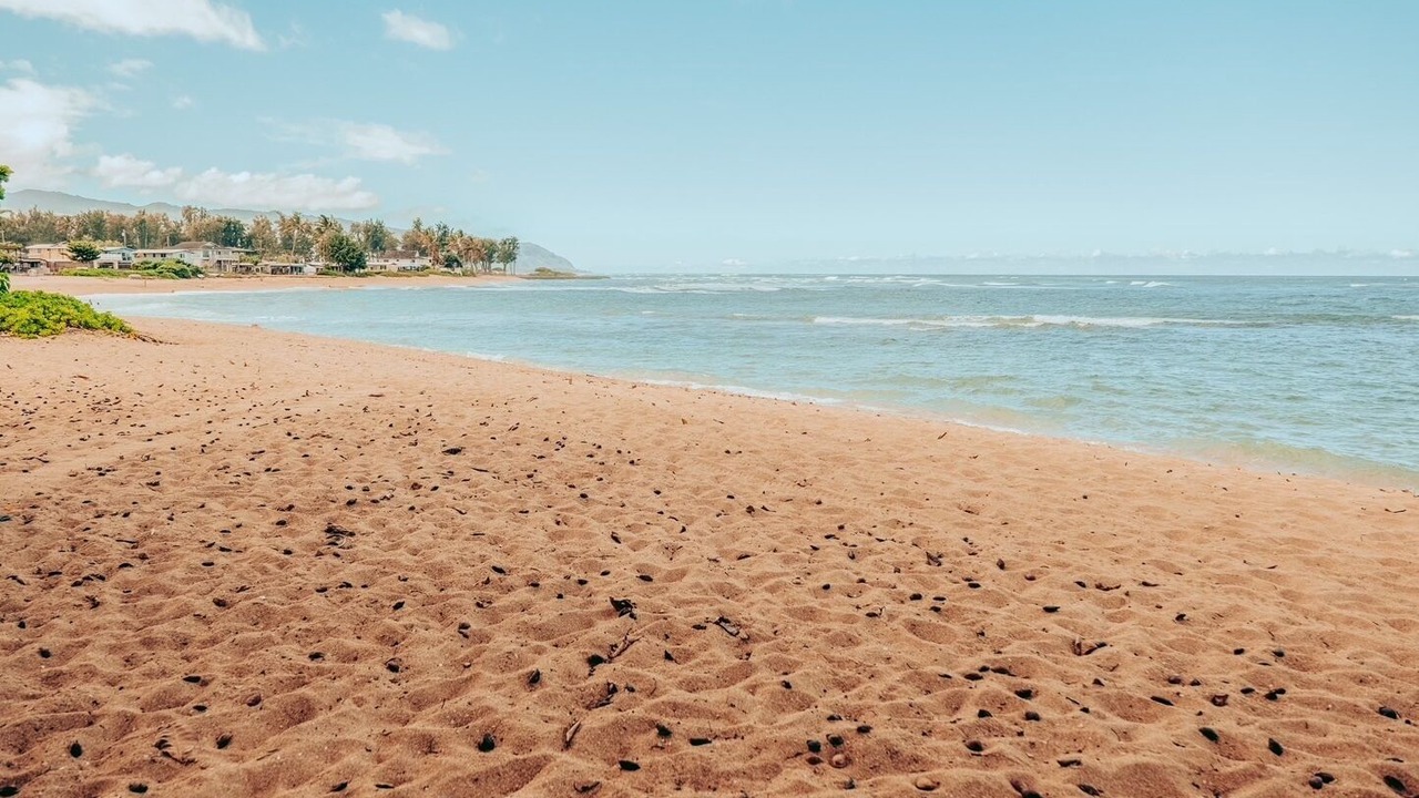 Photo of Others in Waialee