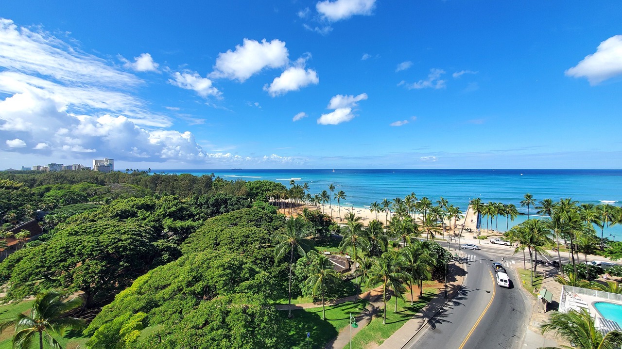Photo of Others in Waikiki