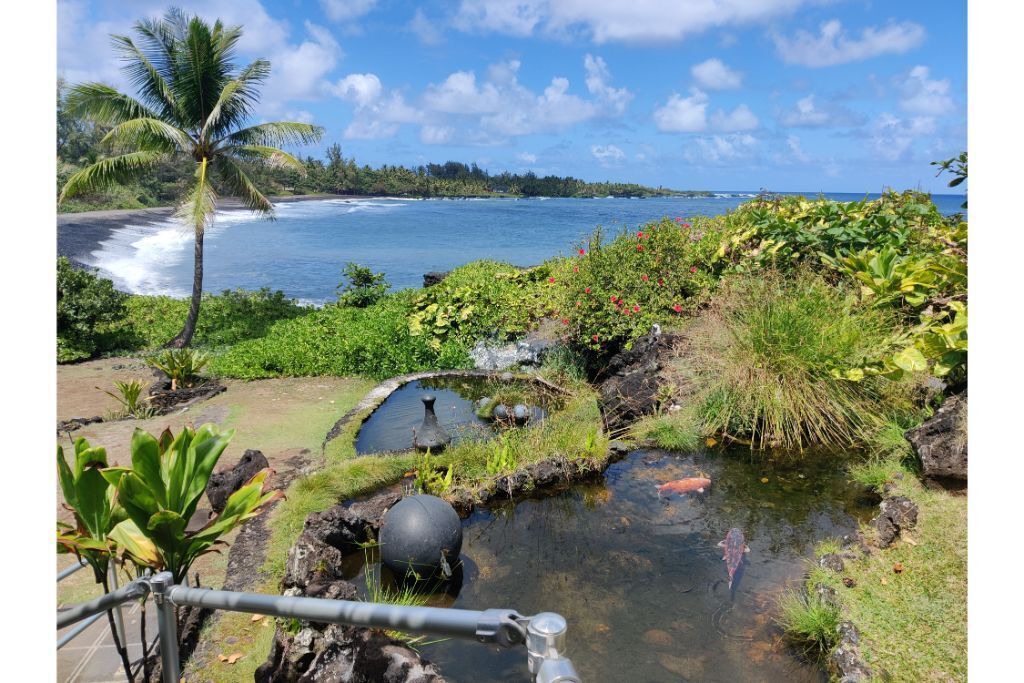 Photo of Others in Hana