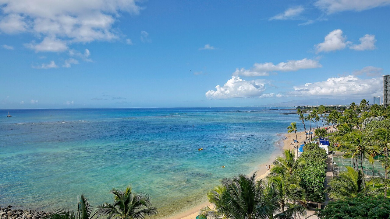 Photo of Others in Waikiki