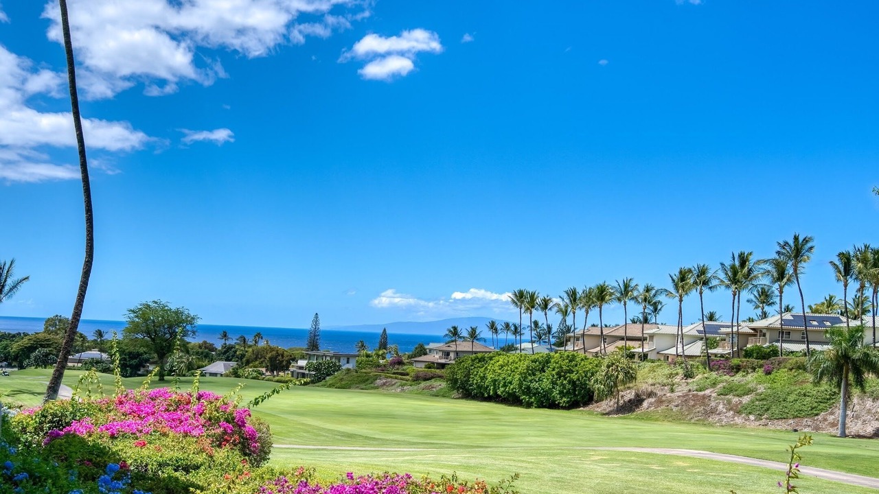 Photo of Others in Wailea