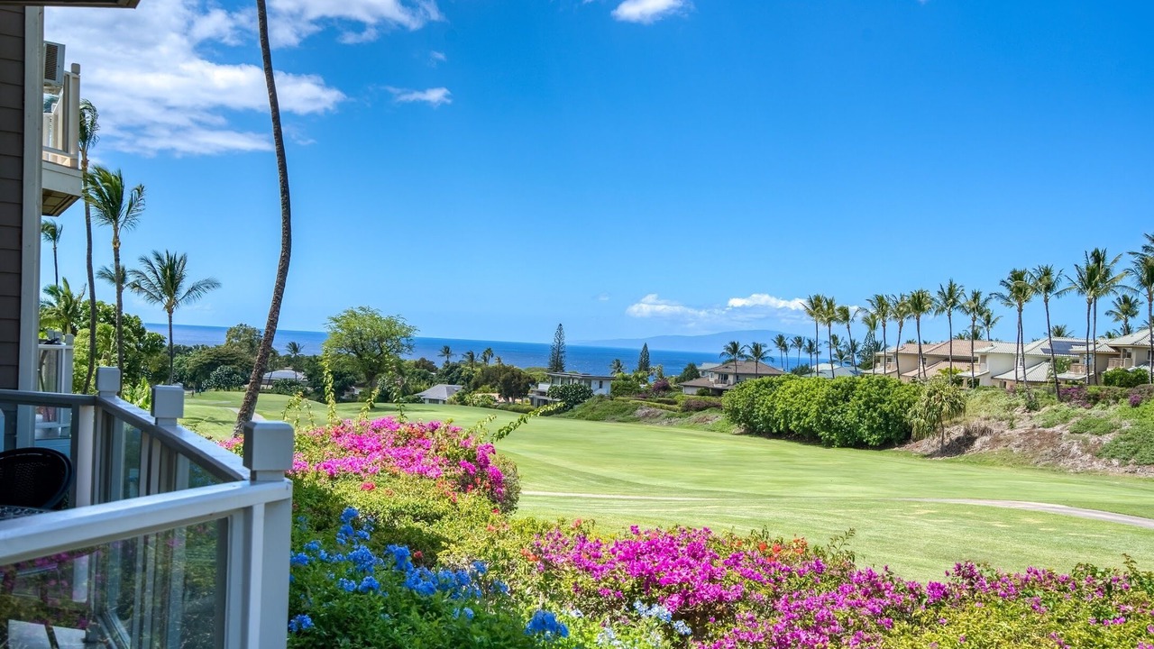 Photo of Outdoor in Wailea