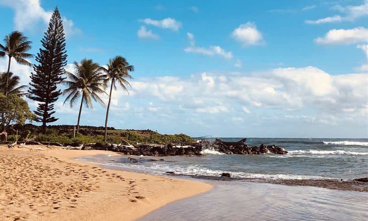 Photo of Others in Wailua