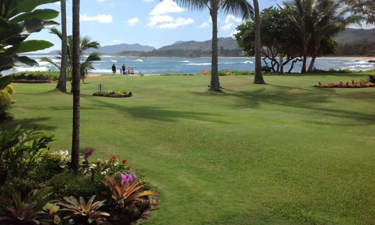 Photo of Others in Wailua