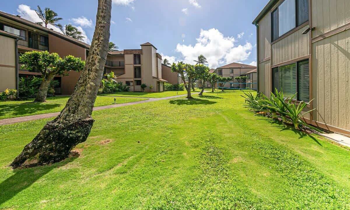 Photo of Outdoor in Kapaa