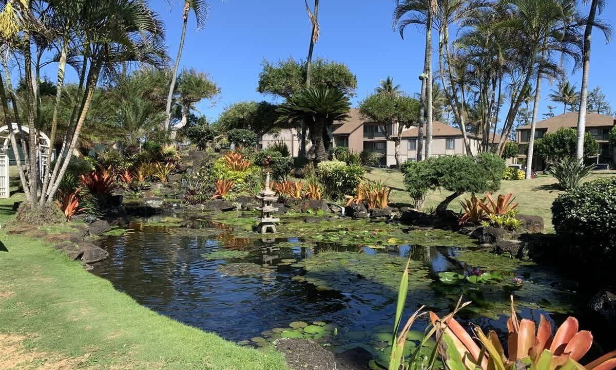 Photo of Outdoor in Kapaa