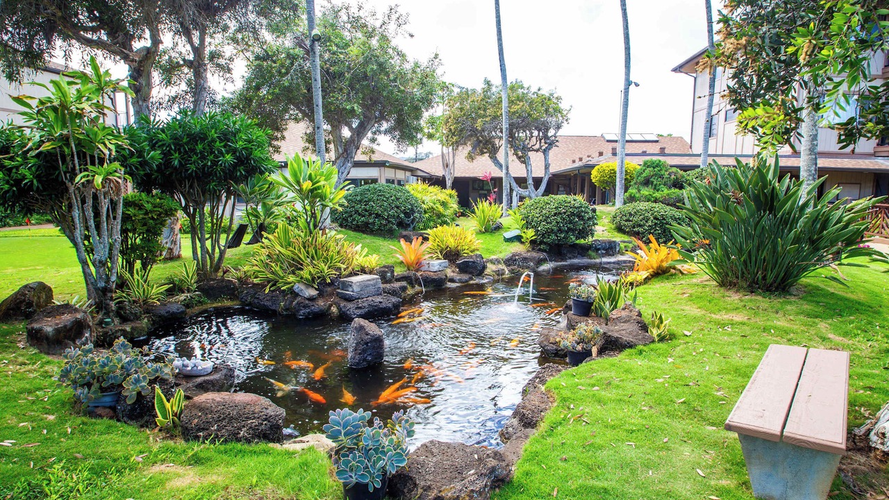 Photo of Outdoor in Kapaa