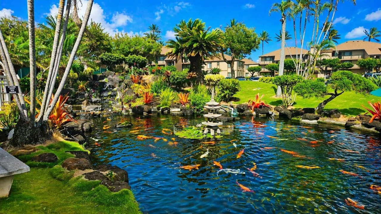 Photo of Outdoor in Kapaa