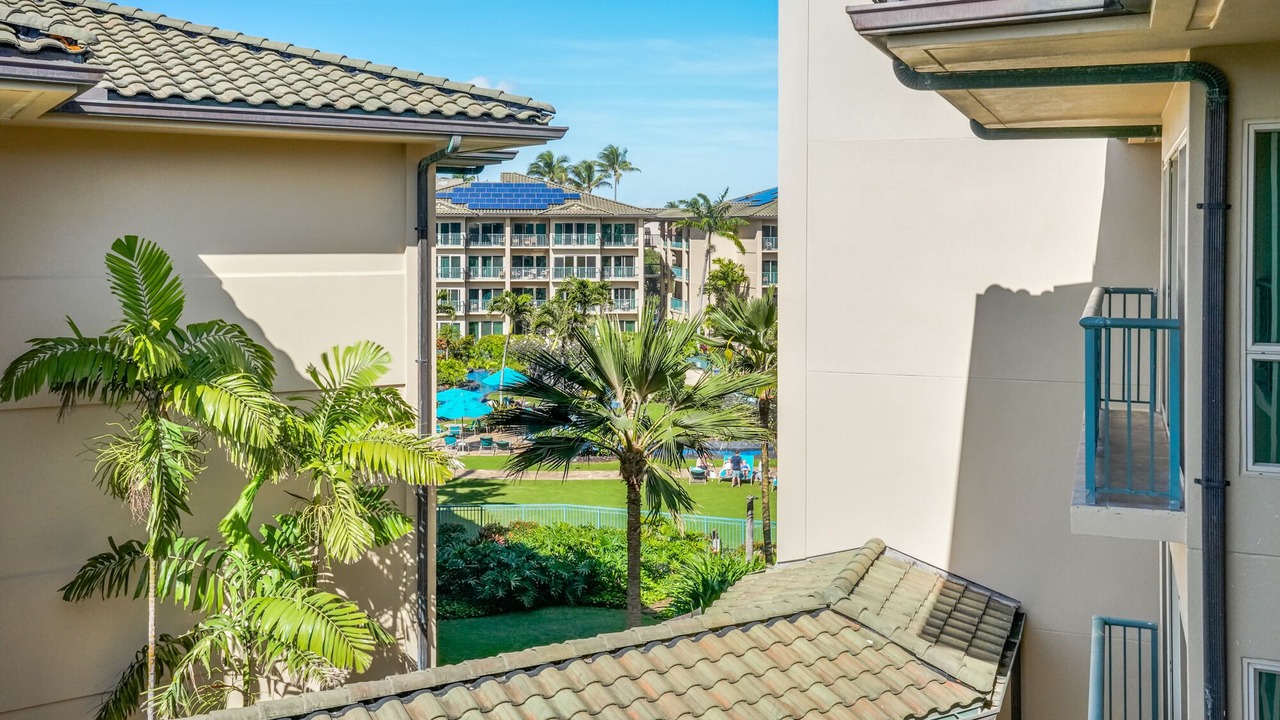 Photo of Outdoor in Wailua
